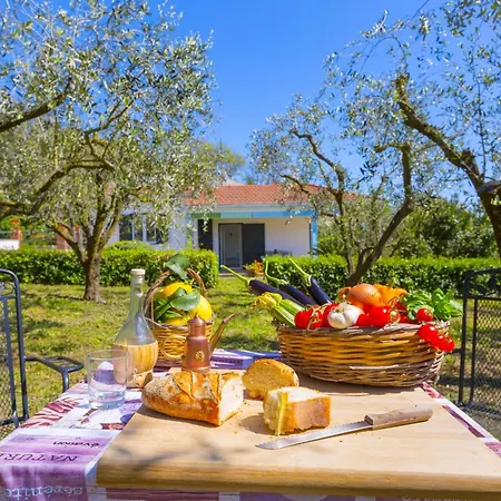 Estate4home - Corinna
